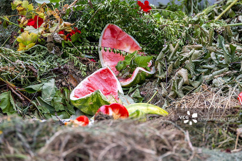 社区堆肥中的可生物降解垃圾图片素材