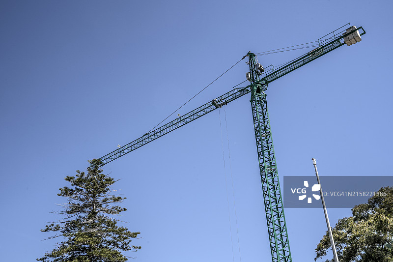 蓝色背景下带有树木的建筑工地起重机图片素材