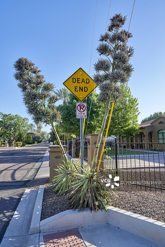 美国亚利桑那州凤凰城郊区十字路口的死胡同路标图片素材