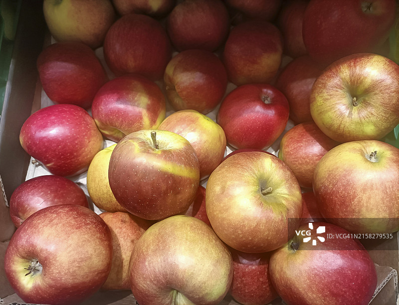 盒子里的皇家嘎啦苹果，成熟的水果，苹果生产图片素材