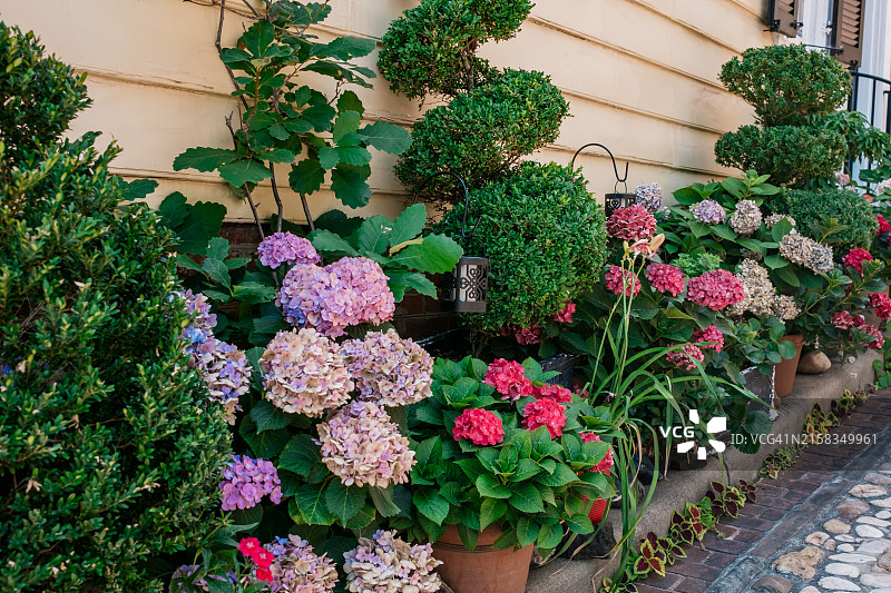 集装箱花园图片素材