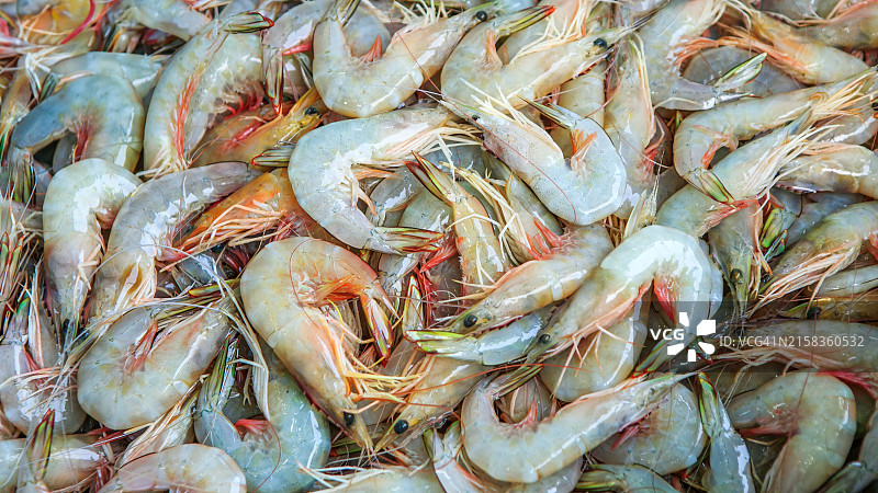 海鲜市场的新鲜虾图片素材