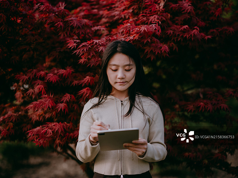 在公园使用平板电脑的亚洲年轻女性：享受森林里的美好时光，可持续概念，亲近自然图片素材