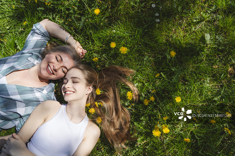 快乐的母女在公园草地上与蒲公英玩耍图片素材