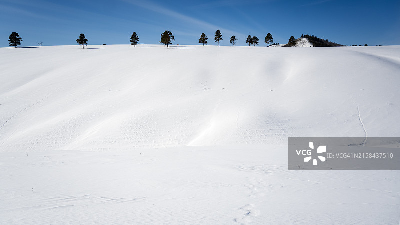 人们在雪地上滑雪图片素材
