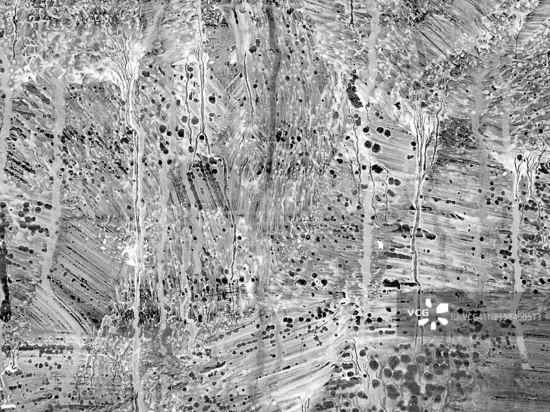 巴黎窗户上稀释和有纹理的白色油漆层。阳光。黑白。图片素材