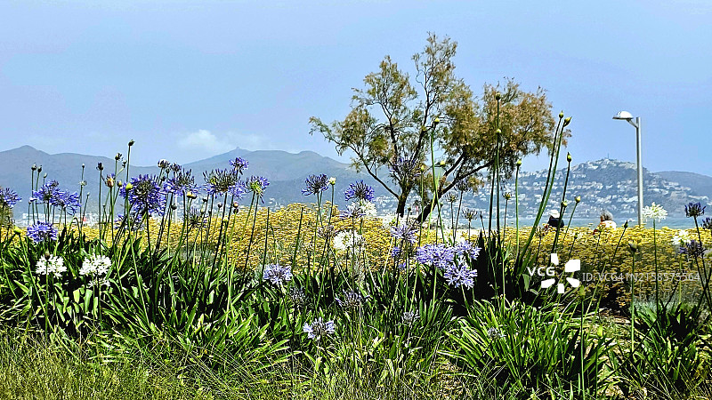 西班牙埃姆普里亚布拉瓦图片素材