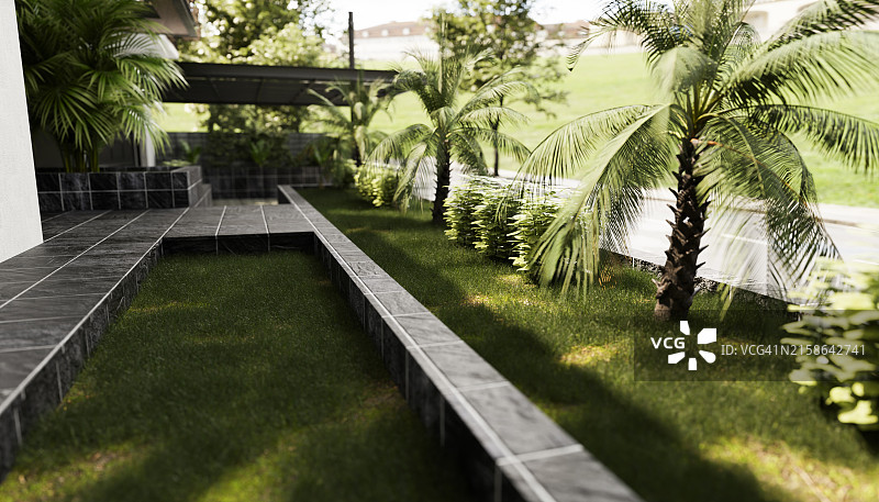 房子外花园中一排植物的3D渲染图图片素材
