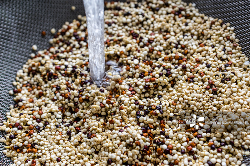 烹饪前清洗藜麦图片素材