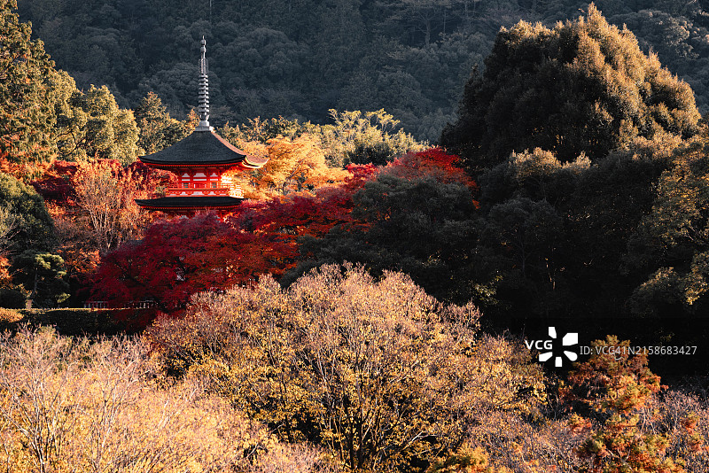 京都清水寺秋季红叶图片素材