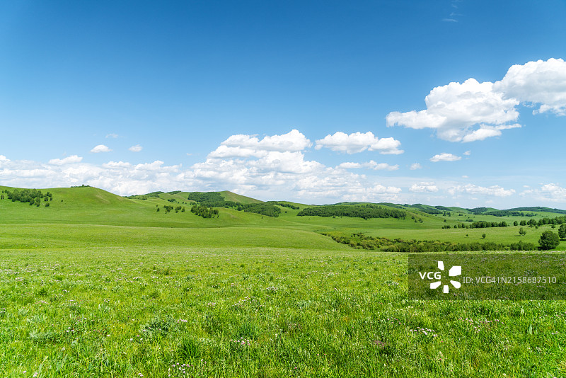 美丽的夏季自然风光图片素材