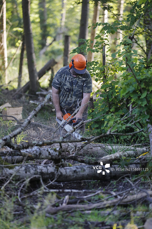 法国塞纳-马恩省的森林守护者图片素材