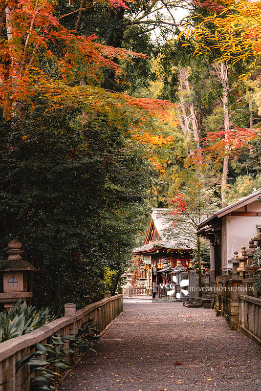 日本滋贺县日牟礼八幡宫秋季小路图片素材