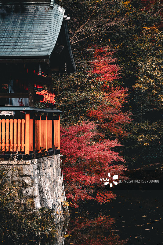 秋季的伏见稻荷大社图片素材
