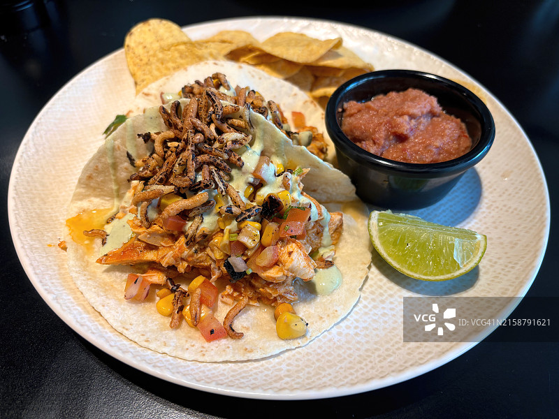 哈里萨香料鸡肉玉米饼配玉米沙拉、酸奶、野生膨化米、玉米片和炸豆泥图片素材