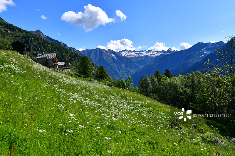 绿色草地和白雪皑皑的山峰图片素材