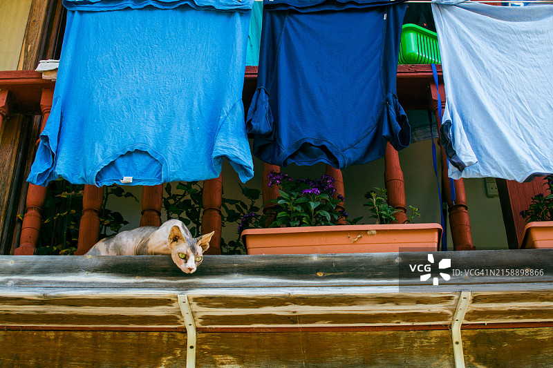 在乡村阳台上阳光下晾晒的衣物图片素材