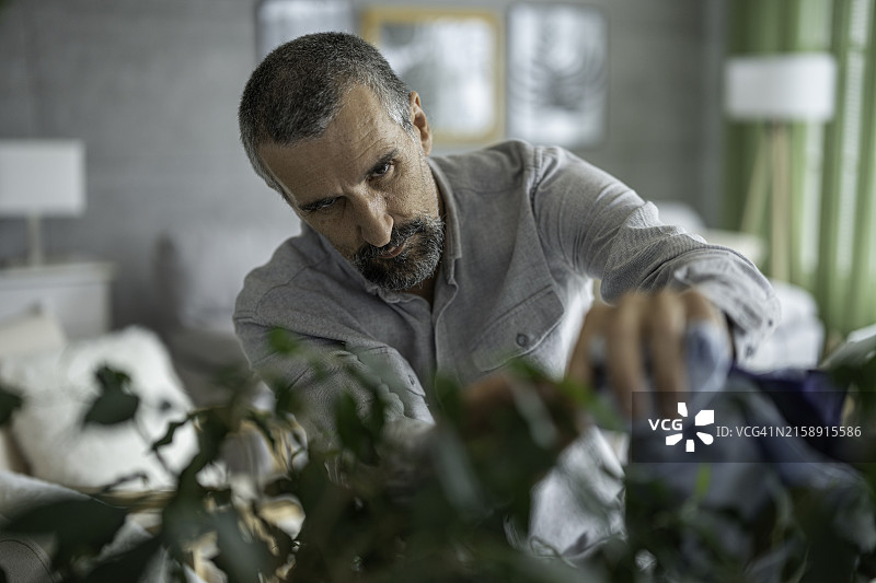 男人做家务，细心擦拭室内植物图片素材