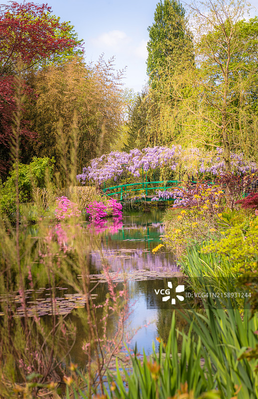 吉维尼莫奈花园：明媚春日下的桥梁和池塘图片素材