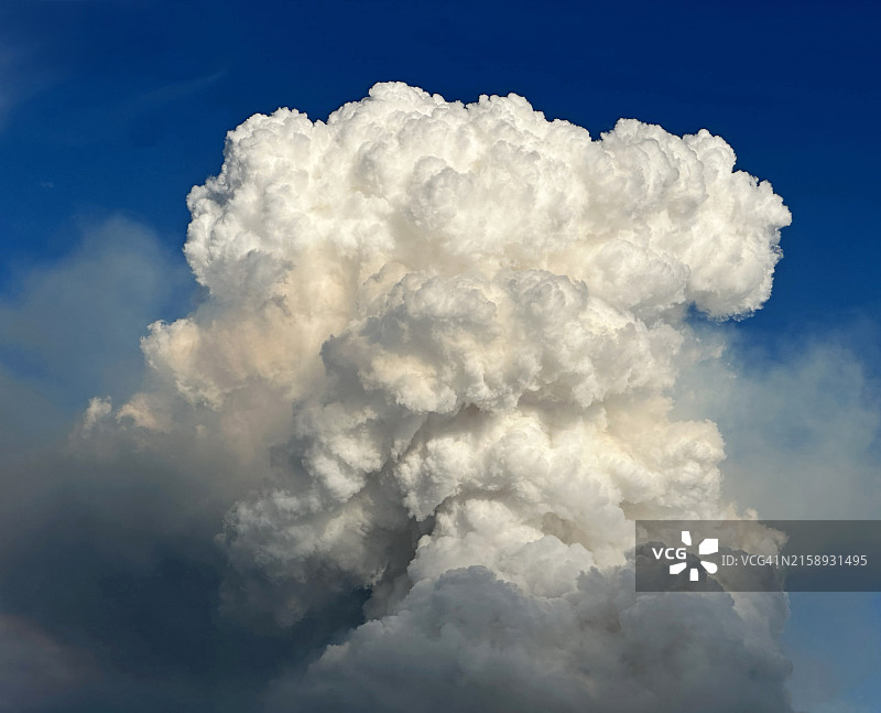 大型烟云森林火灾特写图片素材