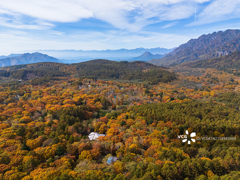 日本长野县户隐的秋景鸟瞰图片素材