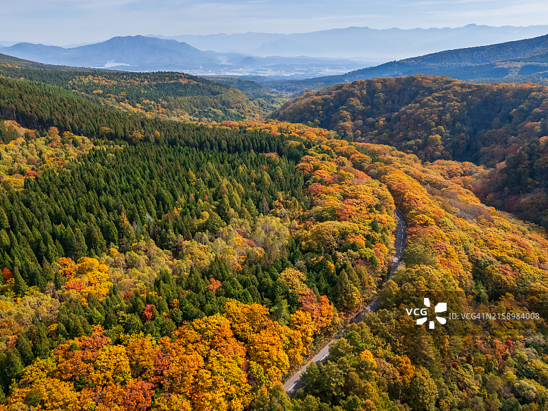 长野秋景公路航拍图片素材