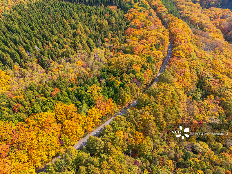 长野秋景公路航拍图片素材