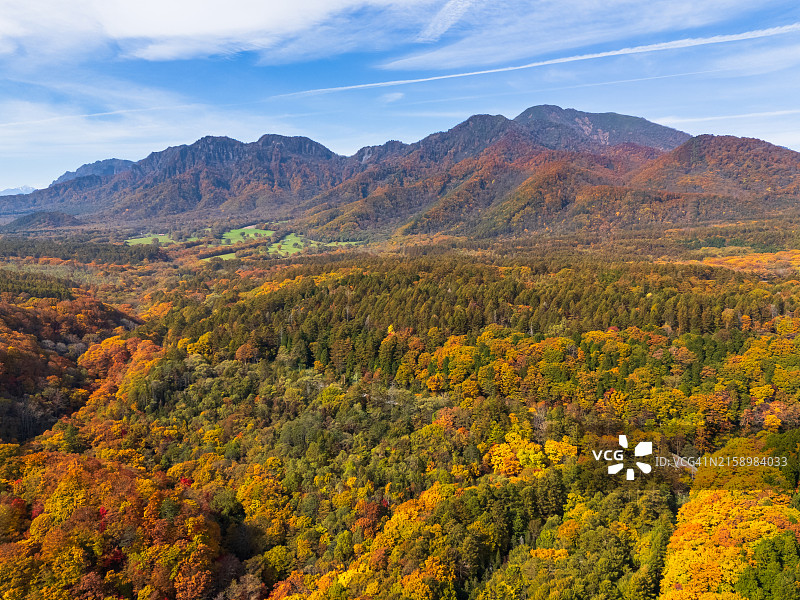 日本长野县户隐的秋景鸟瞰图片素材