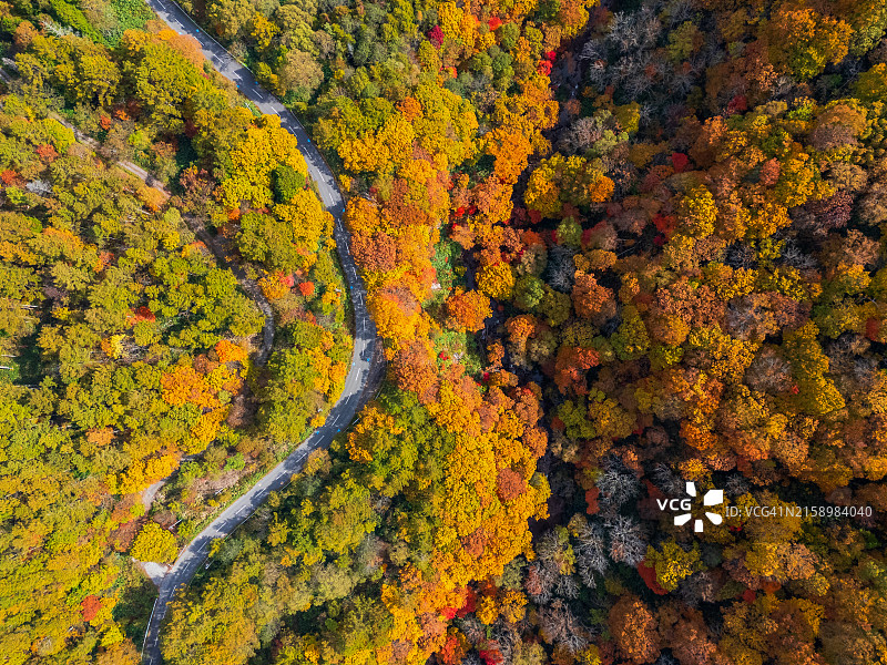 长野秋景公路航拍图片素材