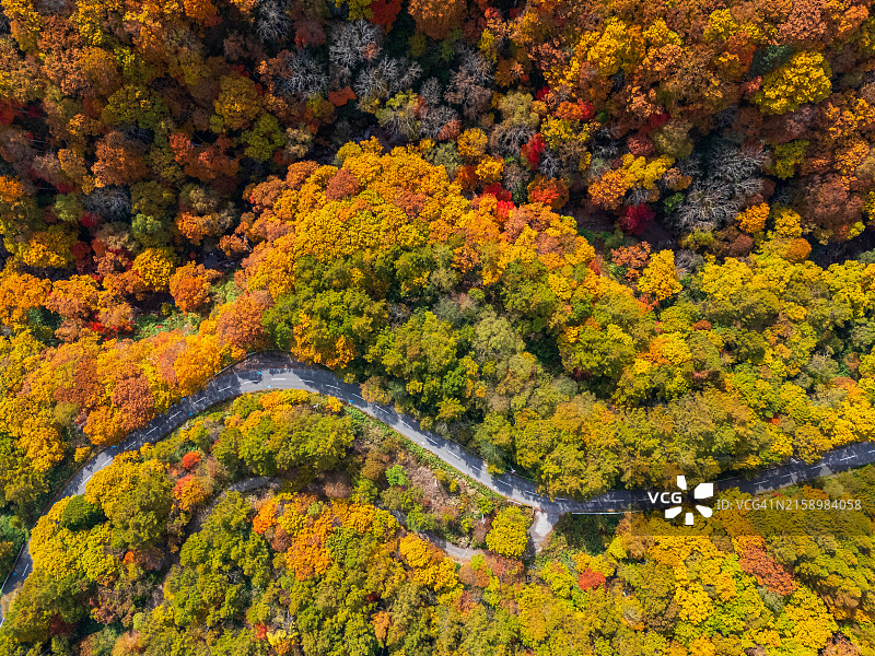 长野秋景公路航拍图片素材