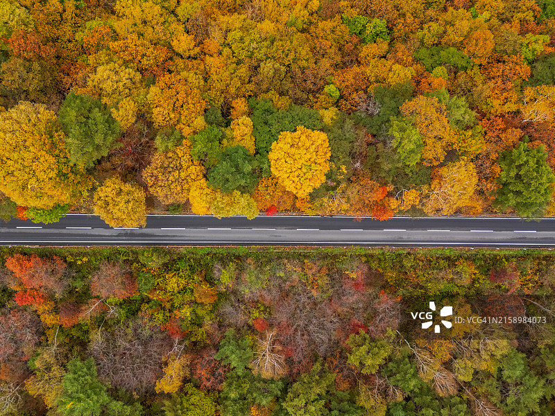 长野县志贺高原山之秋图片素材