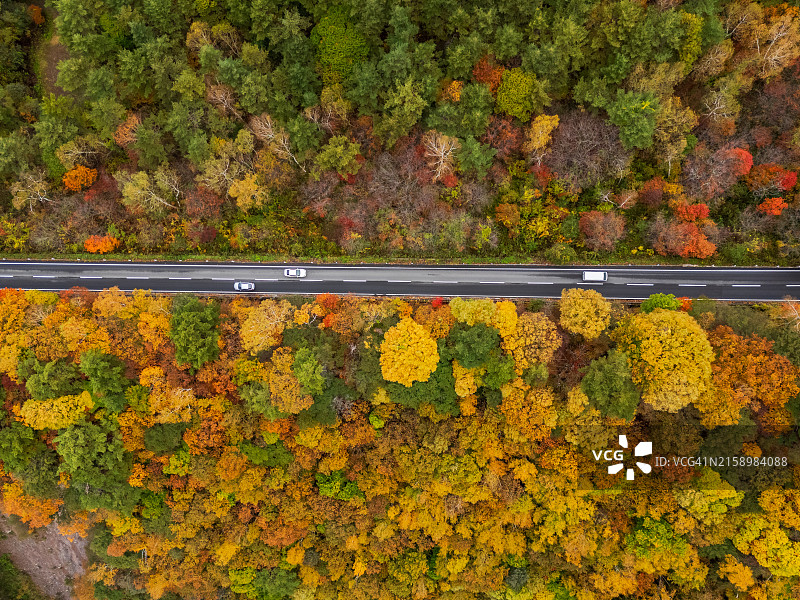 长野县志贺高原山之秋图片素材