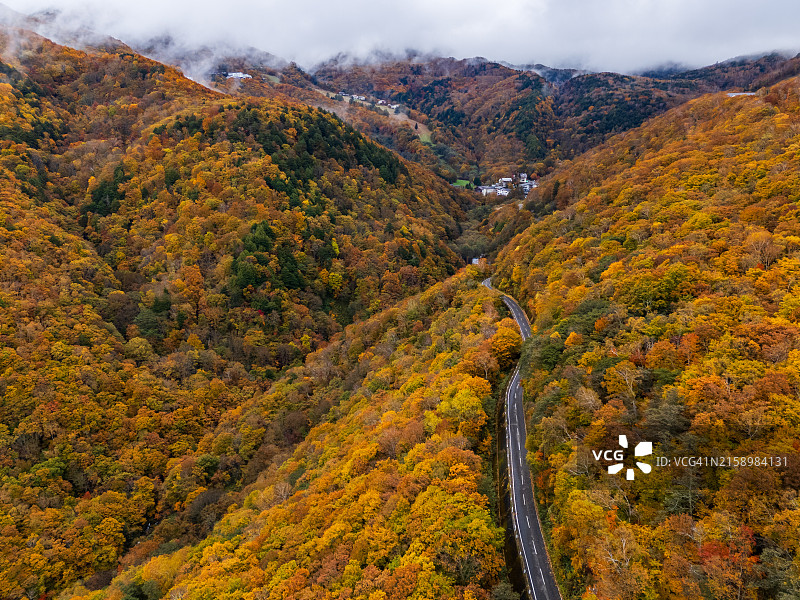 日本长野县志贺高原的美丽秋景图片素材