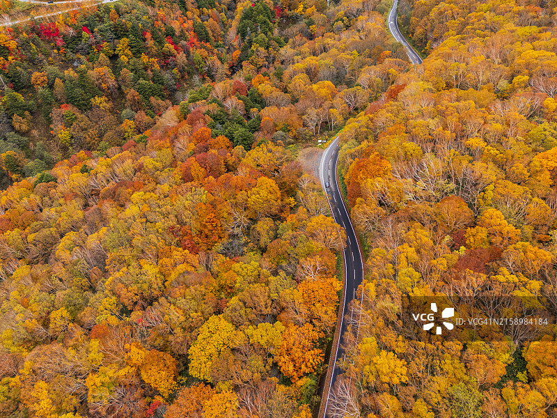 秋季山间蜿蜒公路和彩色景观航拍图片素材