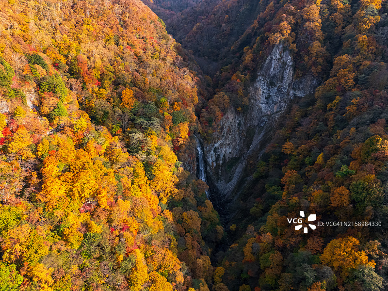 志贺高原釜 man 瀑布航拍，长野图片素材