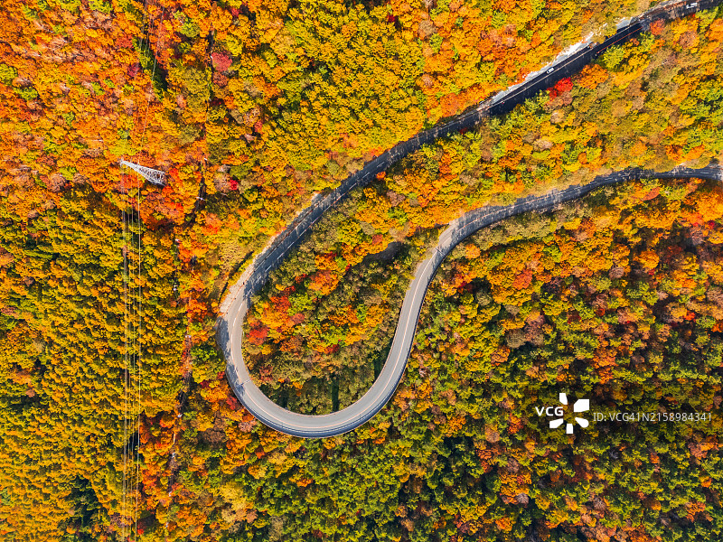 长野县志贺高原蜿蜒山路航拍图片素材