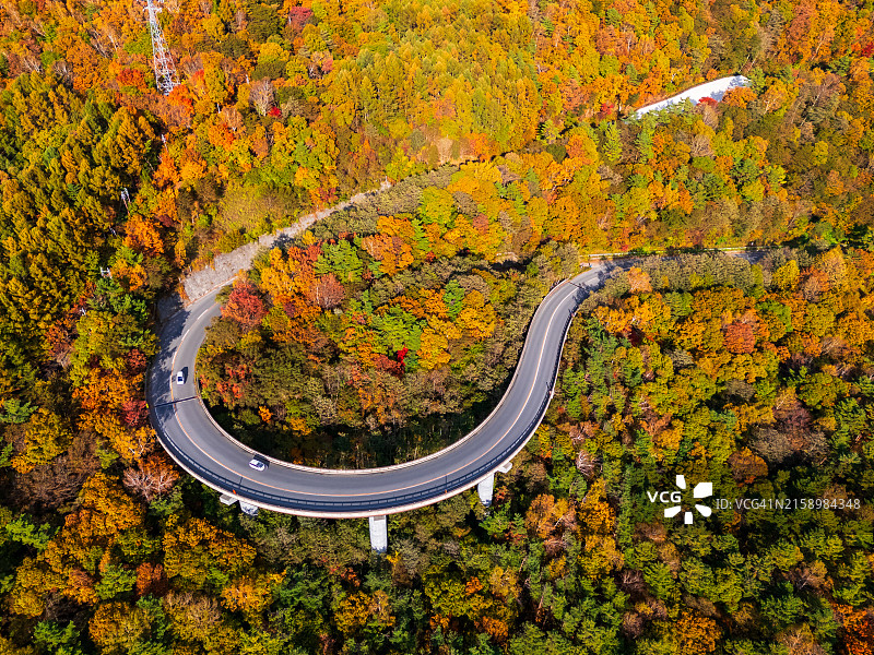 长野县志贺高原蜿蜒山路航拍图片素材
