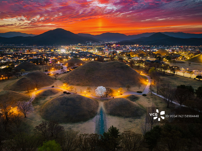 大陵苑古墓群夜景玉兰花图片素材