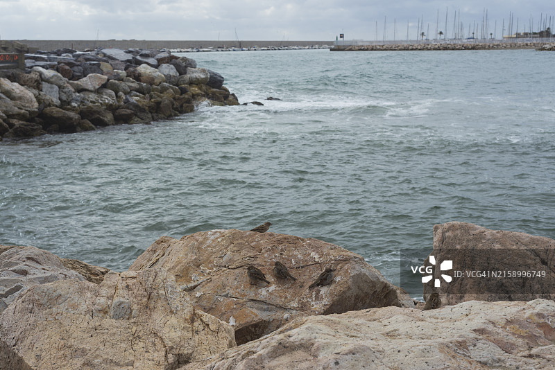 大海对着天空的美景图片素材