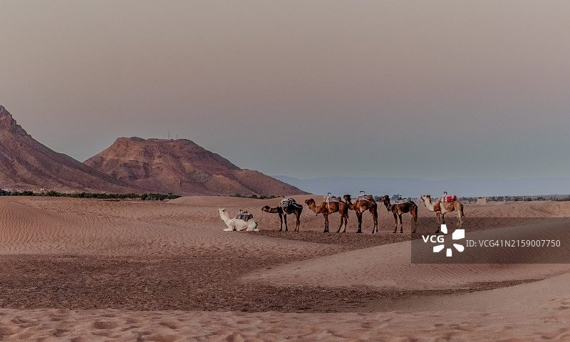 沙漠映衬天空的美景图片素材