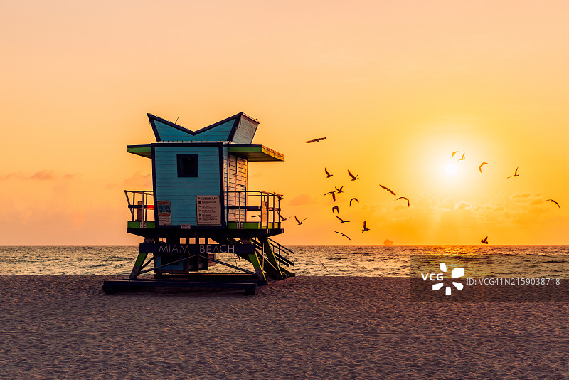 佛罗里达州迈阿密海滩日出时被海鸥环绕的救生员小屋图片素材