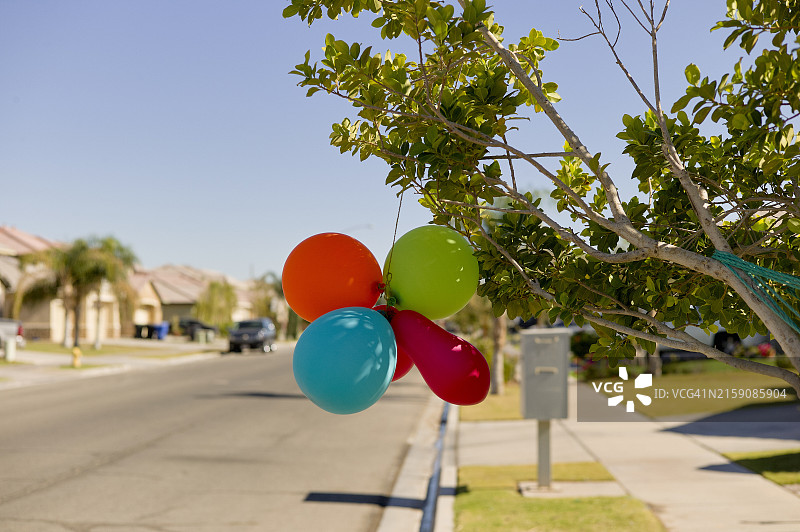 阳光明媚的日子里，郊区街道旁树上系着一束彩色气球图片素材