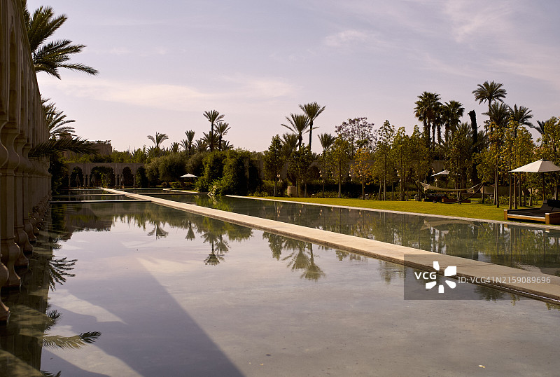 宁静的棕榈树环绕的倒影池和躺椅图片素材