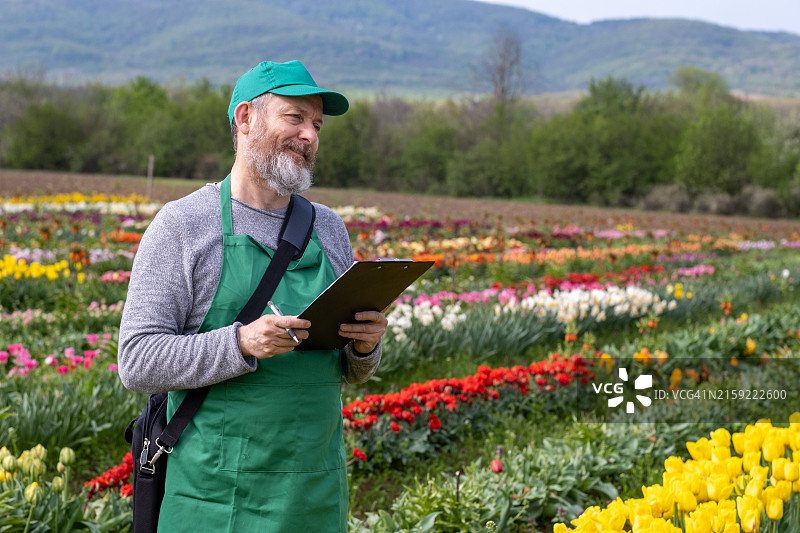 园丁种植郁金香图片素材