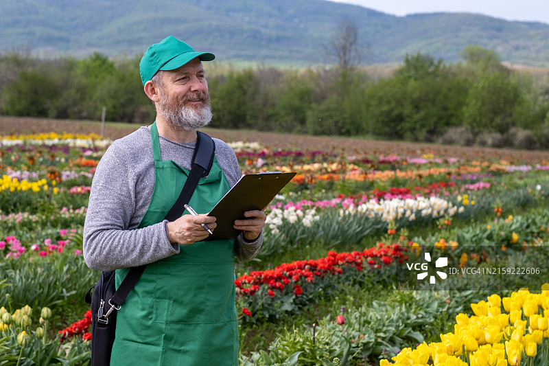 园丁种植郁金香图片素材