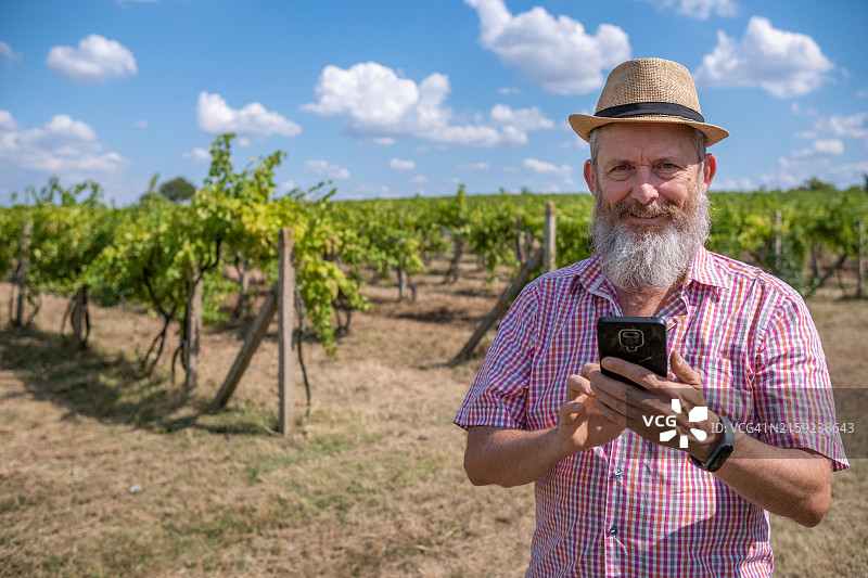 快乐的农民在葡萄园里打电话图片素材