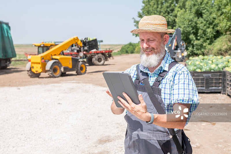农民收获西瓜图片素材