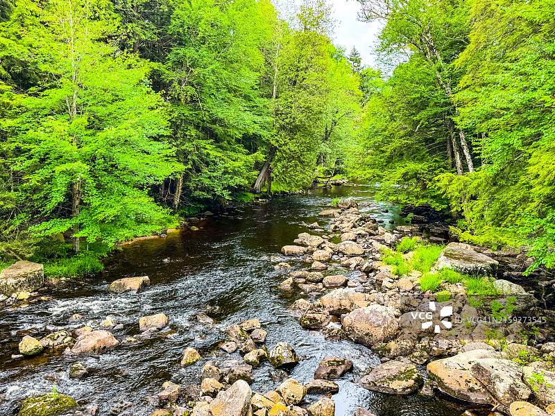 萨加莫尔湖的入口图片素材