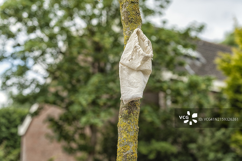 挂在树干上的小黄麻粗麻布图片素材