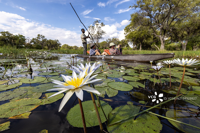 游客在奥卡万戈三角洲水道上乘坐Mokoro独木舟图片素材
